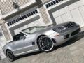 Brilliant Silver Metallic - SL 65 AMG Roadster Photo No. 110