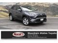 2019 Magnetic Gray Metallic Toyota RAV4 XLE AWD  photo #1