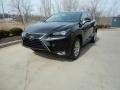 Caviar - NX 300 AWD Photo No. 1