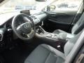 Caviar - NX 300 AWD Photo No. 2