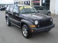 Black - Liberty Sport 4x4 Photo No. 18