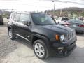 2019 Black Jeep Renegade Limited 4x4  photo #8