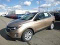 2019 Sandy Ridge Metallic Chevrolet Equinox LS  photo #1