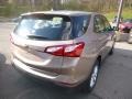 2019 Sandy Ridge Metallic Chevrolet Equinox LS  photo #5