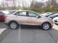 2019 Sandy Ridge Metallic Chevrolet Equinox LS  photo #6