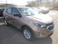 2019 Sandy Ridge Metallic Chevrolet Equinox LS  photo #7