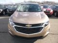 2019 Sandy Ridge Metallic Chevrolet Equinox LS  photo #8