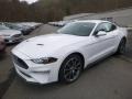 Oxford White 2019 Ford Mustang EcoBoost Fastback Exterior