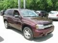 2006 Bordeaux Red Metallic Chevrolet TrailBlazer LS 4x4  photo #5