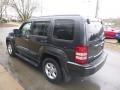 Dark Charcoal Pearl - Liberty Sport 4x4 Photo No. 7
