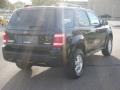 2008 Black Ford Escape XLT V6 4WD  photo #5