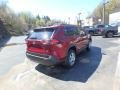 Ruby Flare Pearl - RAV4 LE AWD Photo No. 2