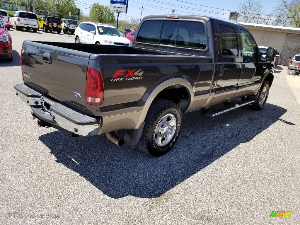 2007 F250 Super Duty Lariat Crew Cab 4x4 - Arizona Beige Metallic / Castano Brown Leather photo #6