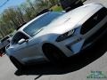 Ingot Silver - Mustang GT Fastback Photo No. 30