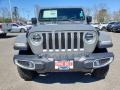 Sting-Gray - Wrangler Unlimited Sahara 4x4 Photo No. 2