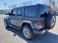 Sting-Gray - Wrangler Unlimited Sahara 4x4 Photo No. 4