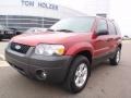2006 Redfire Metallic Ford Escape XLT  photo #1