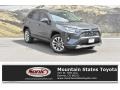 Magnetic Gray Metallic - RAV4 Limited AWD Photo No. 1