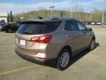 2019 Sandy Ridge Metallic Chevrolet Equinox LT AWD  photo #5