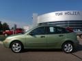 2007 Kiwi Green Metallic Ford Focus ZX5 SES Hatchback  photo #2