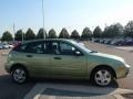 2007 Kiwi Green Metallic Ford Focus ZX5 SES Hatchback  photo #6