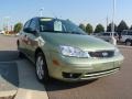 2007 Kiwi Green Metallic Ford Focus ZX5 SES Hatchback  photo #7