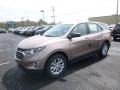 2019 Sandy Ridge Metallic Chevrolet Equinox LS  photo #1