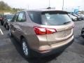 2019 Sandy Ridge Metallic Chevrolet Equinox LS  photo #3