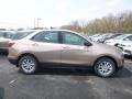 2019 Sandy Ridge Metallic Chevrolet Equinox LS  photo #6