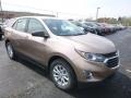 2019 Sandy Ridge Metallic Chevrolet Equinox LS  photo #7