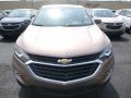 2019 Sandy Ridge Metallic Chevrolet Equinox LS  photo #8