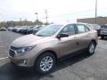 2019 Sandy Ridge Metallic Chevrolet Equinox LS  photo #1