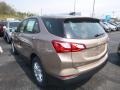 2019 Sandy Ridge Metallic Chevrolet Equinox LS  photo #3