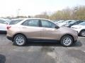 2019 Sandy Ridge Metallic Chevrolet Equinox LS  photo #6
