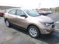 2019 Sandy Ridge Metallic Chevrolet Equinox LS  photo #7