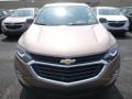 2019 Sandy Ridge Metallic Chevrolet Equinox LS  photo #8