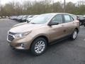 2019 Sandy Ridge Metallic Chevrolet Equinox LS  photo #1