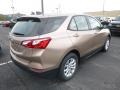 2019 Sandy Ridge Metallic Chevrolet Equinox LS  photo #5