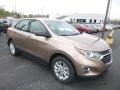 2019 Sandy Ridge Metallic Chevrolet Equinox LS  photo #7