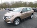 2019 Sandy Ridge Metallic Chevrolet Equinox LS  photo #1