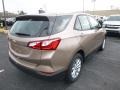 2019 Sandy Ridge Metallic Chevrolet Equinox LS  photo #5