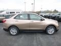 2019 Sandy Ridge Metallic Chevrolet Equinox LS  photo #6
