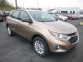 2019 Sandy Ridge Metallic Chevrolet Equinox LS  photo #7