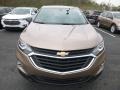 2019 Sandy Ridge Metallic Chevrolet Equinox LS  photo #8