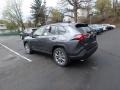 2019 Magnetic Gray Metallic Toyota RAV4 XLE AWD  photo #3
