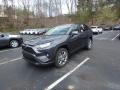 2019 Magnetic Gray Metallic Toyota RAV4 XLE AWD  photo #4