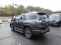 2019 Magnetic Gray Metallic Toyota 4Runner Limited 4x4  photo #3