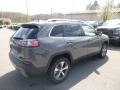 Sting-Gray - Cherokee Limited 4x4 Photo No. 5