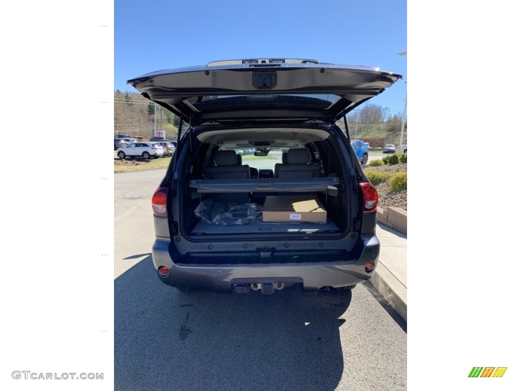 2019 Sequoia Platinum 4x4 - Magnetic Gray Metallic / Graphite photo #19