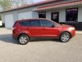 Sunset Metallic 2016 Ford Escape S